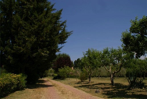 Rustico in vendita a Terricciola