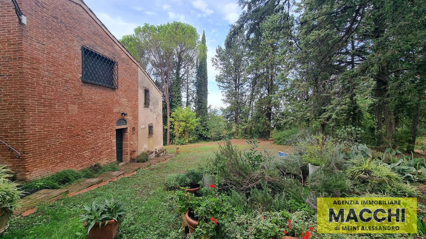 Rustico in affitto a Terricciola